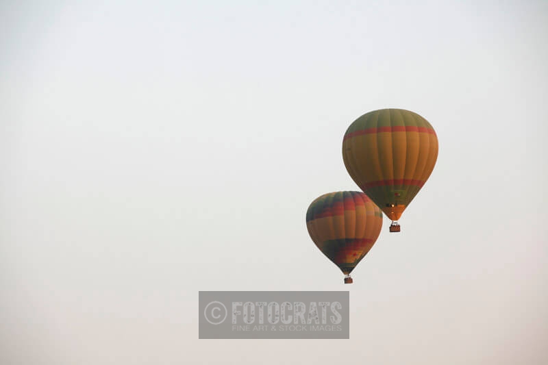 hot air balloons at the pushkar fair