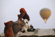 hot air balloon flying above a camel