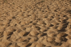 close up view of desert sand in rajasthan
