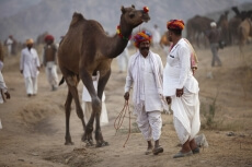 villagers at pushkar camel mela